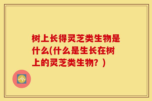树上长得灵芝类生物是什么(什么是生长在树上的灵芝类生物?)-第1张图片-灵芝之家 树上长得灵芝类生物是什么(什么是生长在树上的灵芝类生物?)-第1张图片-灵芝之家