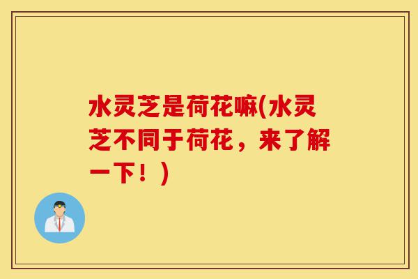 水灵芝是荷花嘛(水灵芝不同于荷花,来了解一下!)-第1张图片-灵芝之家 水灵芝是荷花嘛(水灵芝不同于荷花,来了解一下!)-第1张图片-灵芝之家