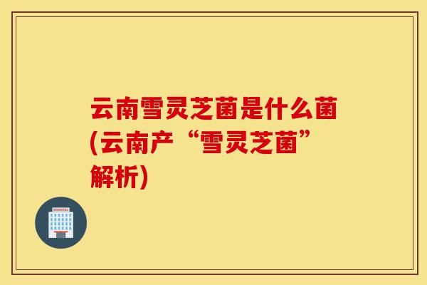 云南雪灵芝菌是什么菌(云南产“雪灵芝菌”解析)-第1张图片-灵芝之家 云南雪灵芝菌是什么菌(云南产“雪灵芝菌”解析)-第1张图片-灵芝之家
