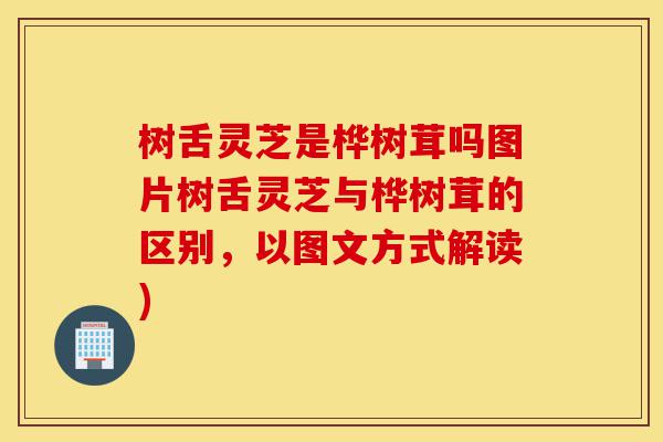 树舌灵芝是桦树茸吗图片树舌灵芝与桦树茸的区别,以图文方式解读)-第1张图片-灵芝之家 树舌灵芝是桦树茸吗图片树舌灵芝与桦树茸的区别,以图文方式解读)-第1张图片-灵芝之家