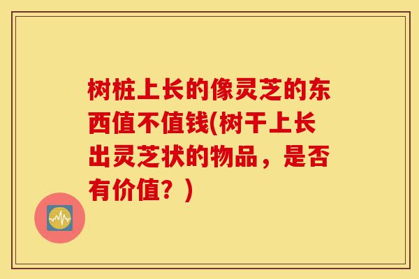 树桩上长的像灵芝的东西值不值钱(树干上长出灵芝状的物品,是否有价值?)-第1张图片-灵芝之家 树桩上长的像灵芝的东西值不值钱(树干上长出灵芝状的物品,是否有价值?)-第1张图片-灵芝之家