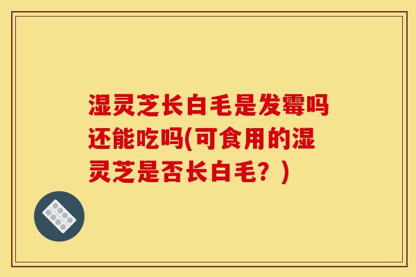 湿灵芝长白毛是发霉吗还能吃吗(可食用的湿灵芝是否长白毛?)-第1张图片-灵芝之家 湿灵芝长白毛是发霉吗还能吃吗(可食用的湿灵芝是否长白毛?)-第1张图片-灵芝之家