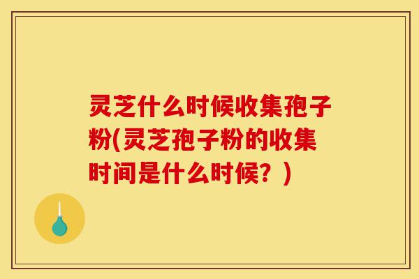 灵芝什么时候收集孢子粉(灵芝孢子粉的收集时间是什么时候?)-第1张图片-灵芝之家 灵芝什么时候收集孢子粉(灵芝孢子粉的收集时间是什么时候?)-第1张图片-灵芝之家
