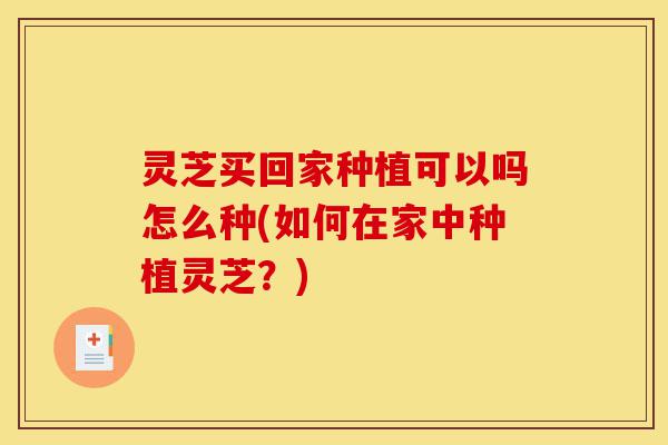 灵芝买回家种植可以吗怎么种(如何在家中种植灵芝?)-第1张图片-灵芝之家 灵芝买回家种植可以吗怎么种(如何在家中种植灵芝?)-第1张图片-灵芝之家