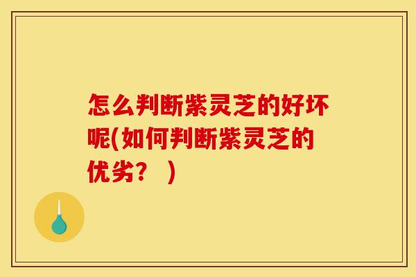 怎么判断紫灵芝的好坏呢(如何判断紫灵芝的优劣? )-第1张图片-灵芝之家 怎么判断紫灵芝的好坏呢(如何判断紫灵芝的优劣? )-第1张图片-灵芝之家