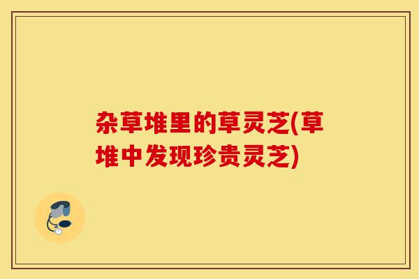 杂草堆里的草灵芝(草堆中发现珍贵灵芝)-第1张图片-灵芝之家 杂草堆里的草灵芝(草堆中发现珍贵灵芝)-第1张图片-灵芝之家