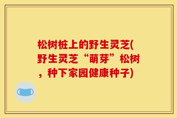松树桩上的野生灵芝(野生灵芝“萌芽”松树,种下家园健康种子)-第1张图片-灵芝之家 松树桩上的野生灵芝(野生灵芝“萌芽”松树,种下家园健康种子)-第1张图片-灵芝之家