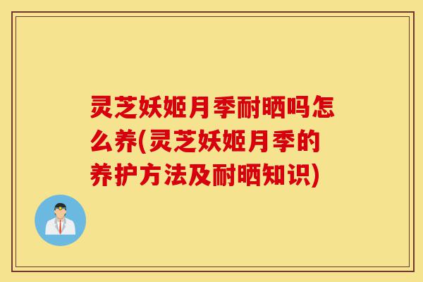 灵芝妖姬月季耐晒吗怎么养(灵芝妖姬月季的养护方法及耐晒知识)-第1张图片-灵芝之家 灵芝妖姬月季耐晒吗怎么养(灵芝妖姬月季的养护方法及耐晒知识)-第1张图片-灵芝之家