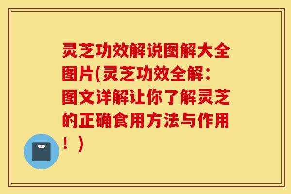 灵芝功效解说图解大全图片(灵芝功效全解:图文详解让你了解灵芝的正确食用方法与作用!)-第1张图片-灵芝之家 灵芝功效解说图解大全图片(灵芝功效全解:图文详解让你了解灵芝的正确食用方法与作用!)-第1张图片-灵芝之家