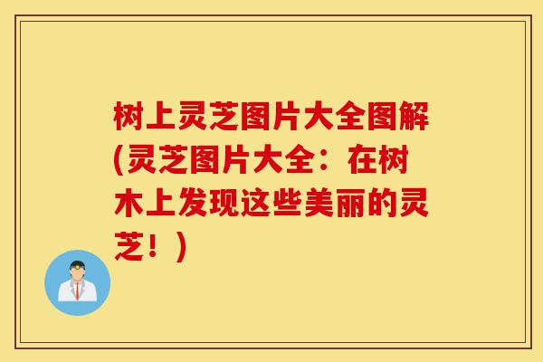 树上灵芝图片大全图解(灵芝图片大全：在树木上发现这些美丽的灵芝！)-第1张图片-灵芝之家