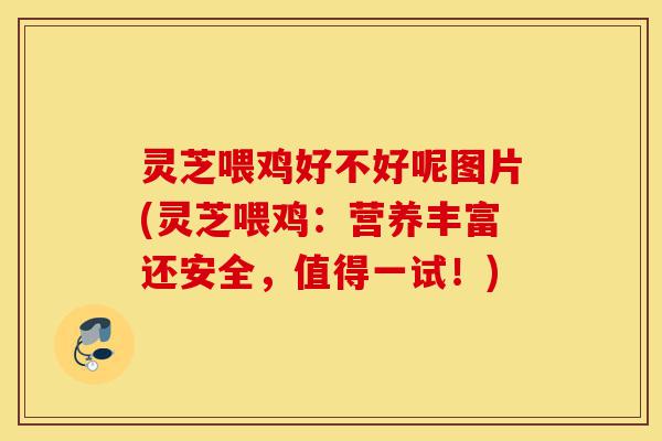 灵芝喂鸡好不好呢图片(灵芝喂鸡：营养丰富还安全，值得一试！)-第1张图片-灵芝之家