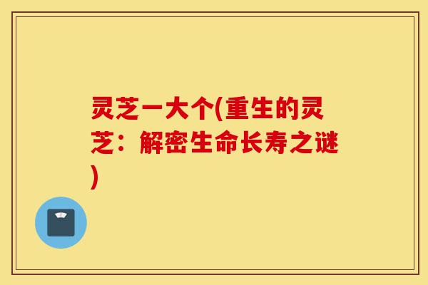 灵芝一大个(重生的灵芝:解密生命长寿之谜)-第1张图片-灵芝之家 灵芝一大个(重生的灵芝:解密生命长寿之谜)-第1张图片-灵芝之家