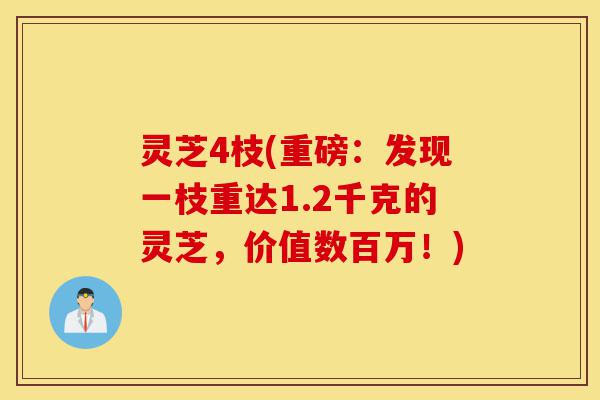 灵芝4枝(重磅:发现一枝重达1.2千克的灵芝,价值数百万!)-第1张图片-灵芝之家 灵芝4枝(重磅:发现一枝重达1.2千克的灵芝,价值数百万!)-第1张图片-灵芝之家
