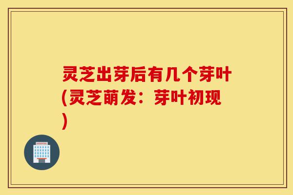 灵芝出芽后有几个芽叶(灵芝萌发:芽叶初现)-第1张图片-灵芝之家 灵芝出芽后有几个芽叶(灵芝萌发:芽叶初现)-第1张图片-灵芝之家