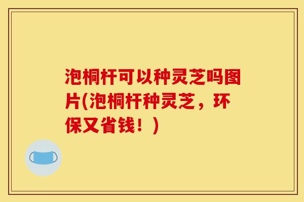 泡桐杆可以种灵芝吗图片(泡桐杆种灵芝,环保又省钱!)-第1张图片-灵芝之家 泡桐杆可以种灵芝吗图片(泡桐杆种灵芝,环保又省钱!)-第1张图片-灵芝之家