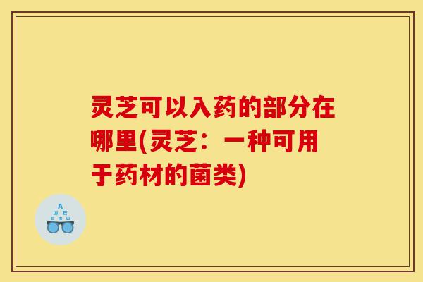 灵芝可以入药的部分在哪里(灵芝:一种可用于药材的菌类)-第1张图片-灵芝之家 灵芝可以入药的部分在哪里(灵芝:一种可用于药材的菌类)-第1张图片-灵芝之家