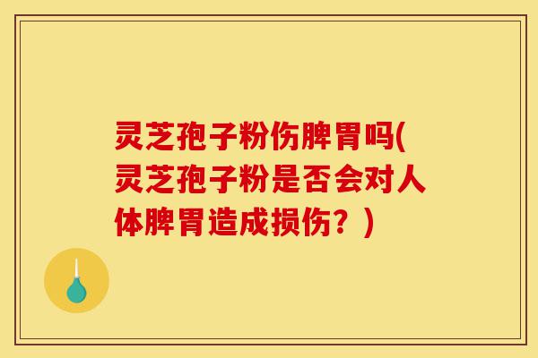 灵芝孢子粉伤脾胃吗(灵芝孢子粉是否会对人体脾胃造成损伤?)-第1张图片-灵芝之家 灵芝孢子粉伤脾胃吗(灵芝孢子粉是否会对人体脾胃造成损伤?)-第1张图片-灵芝之家