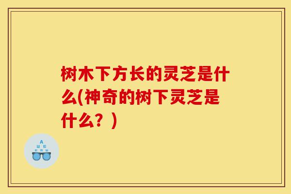 树木下方长的灵芝是什么(神奇的树下灵芝是什么?)-第1张图片-灵芝之家 树木下方长的灵芝是什么(神奇的树下灵芝是什么?)-第1张图片-灵芝之家
