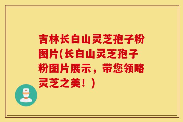 吉林长白山灵芝孢子粉图片(长白山灵芝孢子粉图片展示,带您领略灵芝之美!)-第1张图片-灵芝之家 吉林长白山灵芝孢子粉图片(长白山灵芝孢子粉图片展示,带您领略灵芝之美!)-第1张图片-灵芝之家
