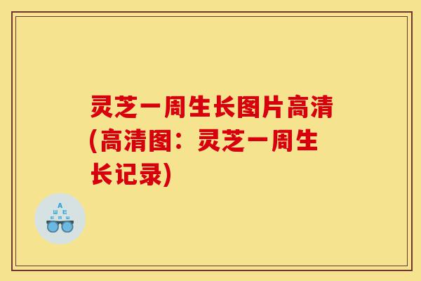 灵芝一周生长图片高清(高清图:灵芝一周生长记录)-第1张图片-灵芝之家 灵芝一周生长图片高清(高清图:灵芝一周生长记录)-第1张图片-灵芝之家