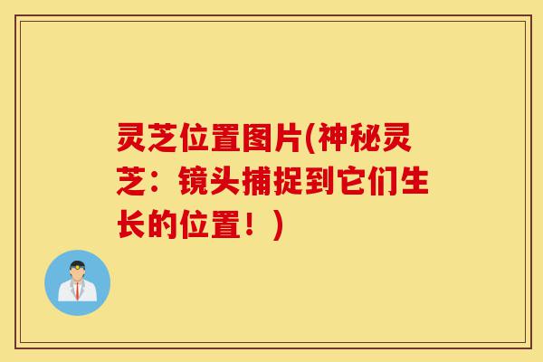 灵芝位置图片(神秘灵芝:镜头捕捉到它们生长的位置!)-第1张图片-灵芝之家 灵芝位置图片(神秘灵芝:镜头捕捉到它们生长的位置!)-第1张图片-灵芝之家