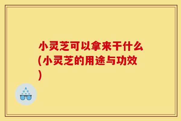 小灵芝可以拿来干什么(小灵芝的用途与功效)-第1张图片-灵芝之家 小灵芝可以拿来干什么(小灵芝的用途与功效)-第1张图片-灵芝之家