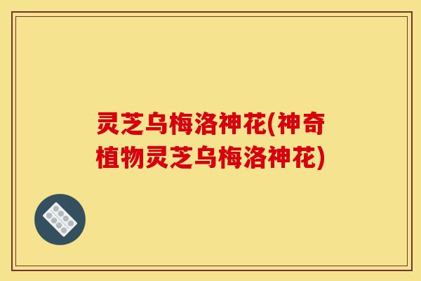 灵芝乌梅洛神花(神奇植物灵芝乌梅洛神花)-第1张图片-灵芝之家 灵芝乌梅洛神花(神奇植物灵芝乌梅洛神花)-第1张图片-灵芝之家