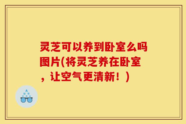 灵芝可以养到卧室么吗图片(将灵芝养在卧室，让空气更清新！)-第1张图片-灵芝之家