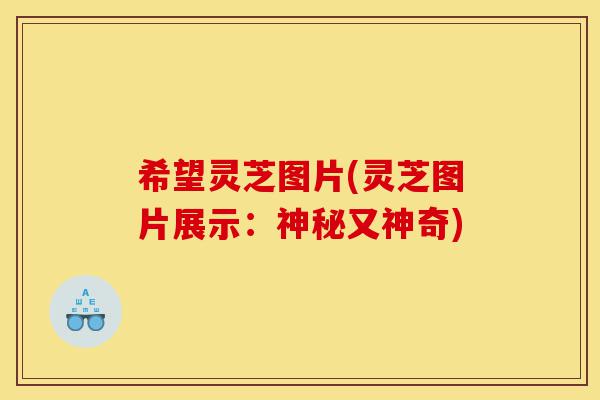 希望灵芝图片(灵芝图片展示:神秘又神奇)-第1张图片-灵芝之家 希望灵芝图片(灵芝图片展示:神秘又神奇)-第1张图片-灵芝之家