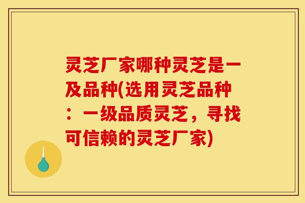 灵芝厂家哪种灵芝是一及品种(选用灵芝品种:一级品质灵芝,寻找可信赖的灵芝厂家)-第1张图片-灵芝之家 灵芝厂家哪种灵芝是一及品种(选用灵芝品种:一级品质灵芝,寻找可信赖的灵芝厂家)-第1张图片-灵芝之家