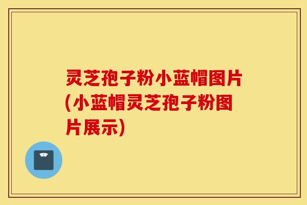 灵芝孢子粉小蓝帽图片(小蓝帽灵芝孢子粉图片展示)-第1张图片-灵芝之家 灵芝孢子粉小蓝帽图片(小蓝帽灵芝孢子粉图片展示)-第1张图片-灵芝之家