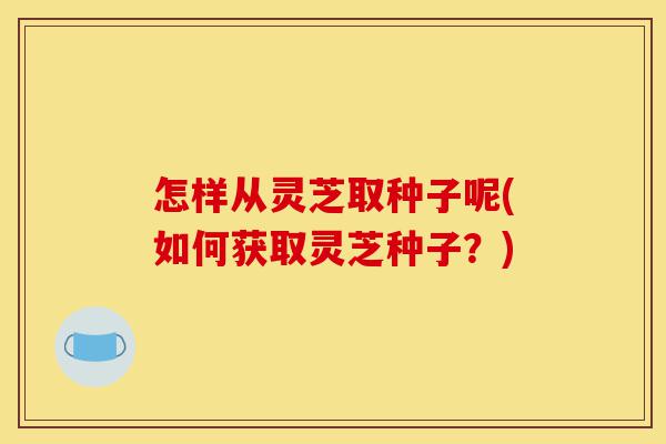 怎样从灵芝取种子呢(如何获取灵芝种子?)-第1张图片-灵芝之家 怎样从灵芝取种子呢(如何获取灵芝种子?)-第1张图片-灵芝之家