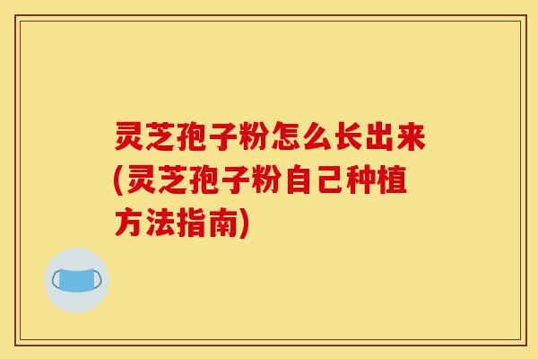 灵芝孢子粉怎么长出来(灵芝孢子粉自己种植方法指南)-第1张图片-灵芝之家 灵芝孢子粉怎么长出来(灵芝孢子粉自己种植方法指南)-第1张图片-灵芝之家