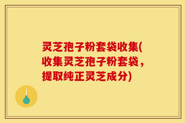 灵芝孢子粉套袋收集(收集灵芝孢子粉套袋,提取纯正灵芝成分)-第1张图片-灵芝之家 灵芝孢子粉套袋收集(收集灵芝孢子粉套袋,提取纯正灵芝成分)-第1张图片-灵芝之家