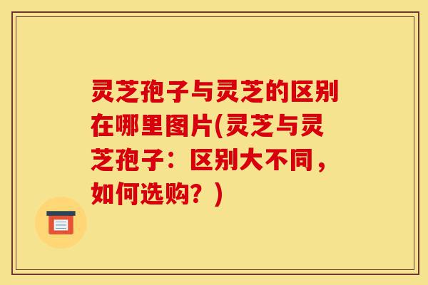 灵芝孢子与灵芝的区别在哪里图片(灵芝与灵芝孢子:区别大不同,如何选购?)-第1张图片-灵芝之家 灵芝孢子与灵芝的区别在哪里图片(灵芝与灵芝孢子:区别大不同,如何选购?)-第1张图片-灵芝之家