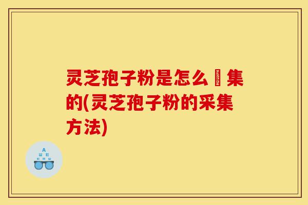 灵芝孢子粉是怎么釆集的(灵芝孢子粉的采集方法)-第1张图片-灵芝之家 灵芝孢子粉是怎么釆集的(灵芝孢子粉的采集方法)-第1张图片-灵芝之家