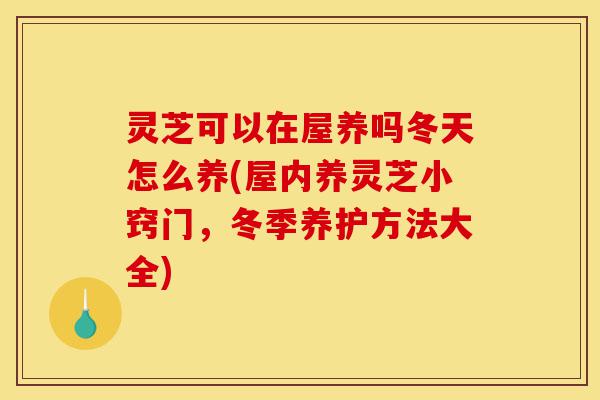 灵芝可以在屋养吗冬天怎么养(屋内养灵芝小窍门，冬季养护方法大全)-第1张图片-灵芝之家