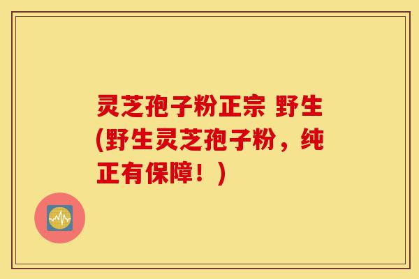 灵芝孢子粉正宗 野生(野生灵芝孢子粉,纯正有保障!)-第1张图片-灵芝之家 灵芝孢子粉正宗 野生(野生灵芝孢子粉,纯正有保障!)-第1张图片-灵芝之家