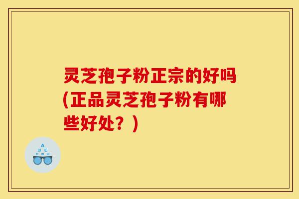 灵芝孢子粉正宗的好吗(正品灵芝孢子粉有哪些好处？)-第1张图片-灵芝之家