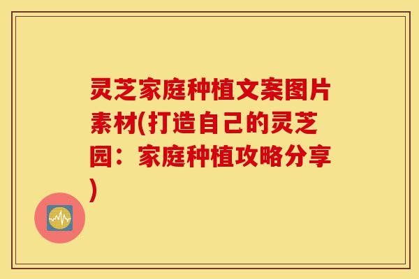 灵芝家庭种植文案图片素材(打造自己的灵芝园:家庭种植攻略分享)-第1张图片-灵芝之家 灵芝家庭种植文案图片素材(打造自己的灵芝园:家庭种植攻略分享)-第1张图片-灵芝之家