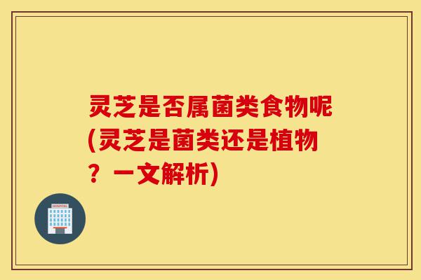 灵芝是否属菌类食物呢(灵芝是菌类还是植物?一文解析)-第1张图片-灵芝之家 灵芝是否属菌类食物呢(灵芝是菌类还是植物?一文解析)-第1张图片-灵芝之家