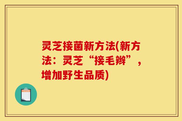 灵芝接菌新方法(新方法:灵芝“接毛辫”,增加野生品质)-第1张图片-灵芝之家 灵芝接菌新方法(新方法:灵芝“接毛辫”,增加野生品质)-第1张图片-灵芝之家