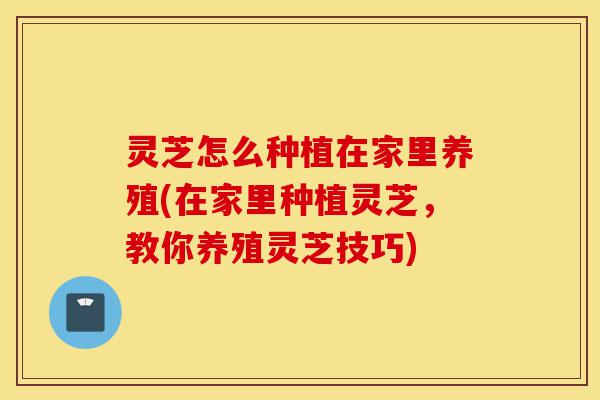 灵芝怎么种植在家里养殖(在家里种植灵芝,教你养殖灵芝技巧)-第1张图片-灵芝之家 灵芝怎么种植在家里养殖(在家里种植灵芝,教你养殖灵芝技巧)-第1张图片-灵芝之家