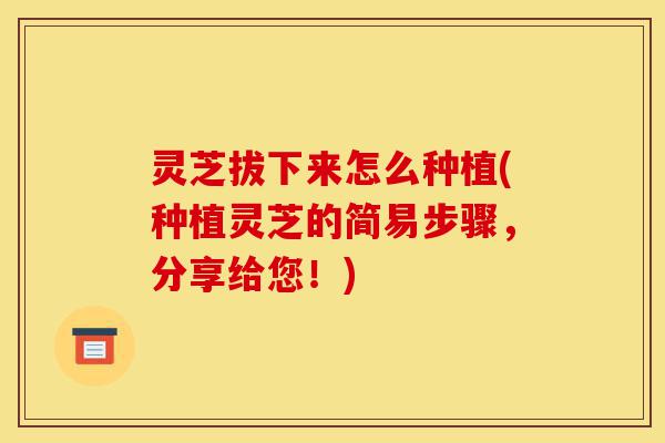 灵芝拔下来怎么种植(种植灵芝的简易步骤，分享给您！)-第1张图片-灵芝之家