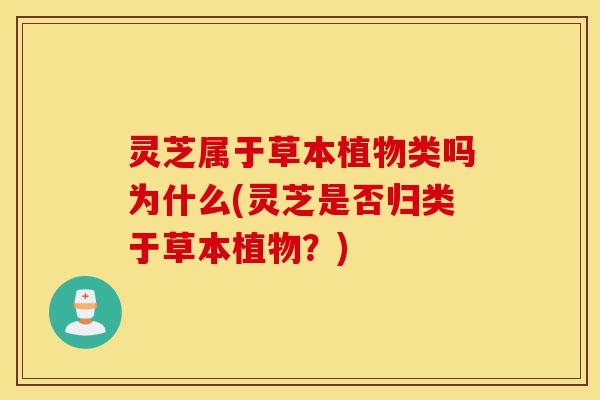 灵芝属于草本植物类吗为什么(灵芝是否归类于草本植物?)-第1张图片-灵芝之家 灵芝属于草本植物类吗为什么(灵芝是否归类于草本植物?)-第1张图片-灵芝之家