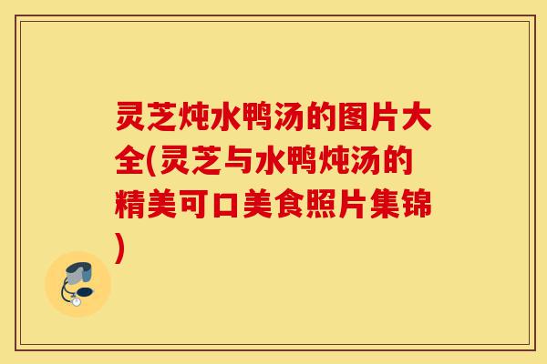 灵芝炖水鸭汤的图片大全(灵芝与水鸭炖汤的精美可口美食照片集锦)-第1张图片-灵芝之家