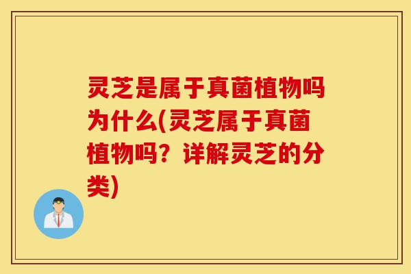 灵芝是属于真菌植物吗为什么(灵芝属于真菌植物吗?详解灵芝的分类)-第1张图片-灵芝之家 灵芝是属于真菌植物吗为什么(灵芝属于真菌植物吗?详解灵芝的分类)-第1张图片-灵芝之家