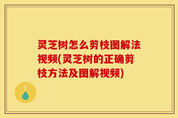 灵芝树怎么剪枝图解法视频(灵芝树的正确剪枝方法及图解视频)-第1张图片-灵芝之家