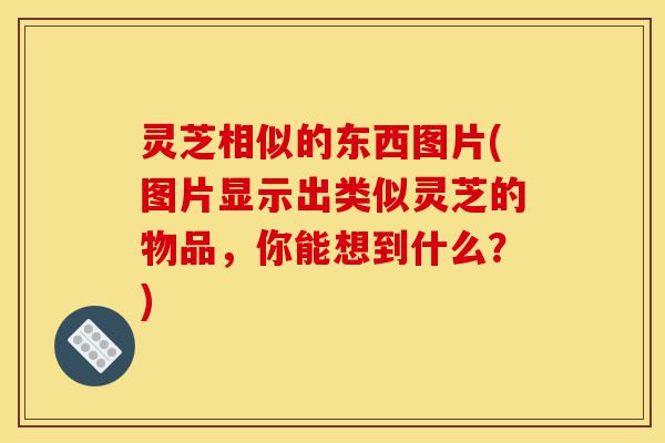 灵芝相似的东西图片(图片显示出类似灵芝的物品,你能想到什么?)-第1张图片-灵芝之家 灵芝相似的东西图片(图片显示出类似灵芝的物品,你能想到什么?)-第1张图片-灵芝之家