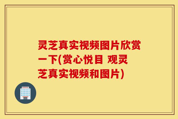 灵芝真实视频图片欣赏一下(赏心悦目 观灵芝真实视频和图片)-第1张图片-灵芝之家 灵芝真实视频图片欣赏一下(赏心悦目 观灵芝真实视频和图片)-第1张图片-灵芝之家